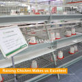 Китай автоматические детские куриные клетки птицеводство цена